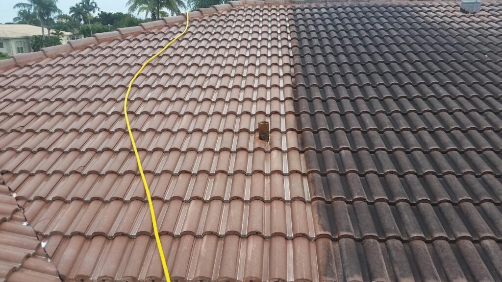 Houston Roof Cleaning Service