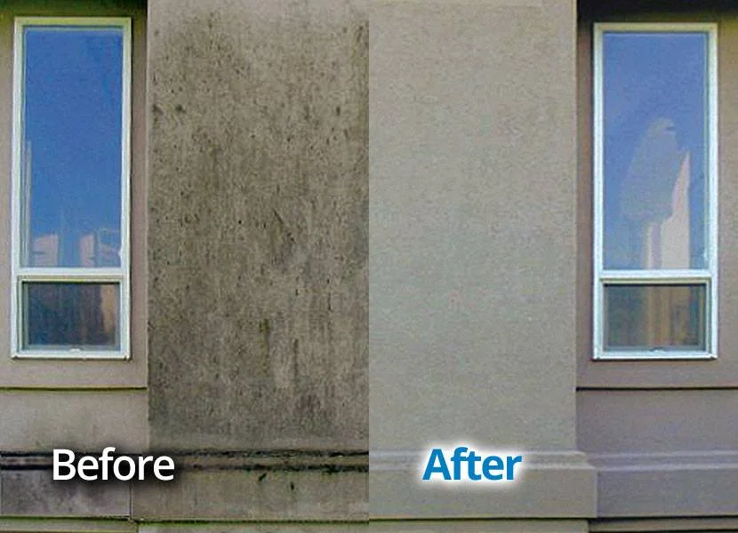 House Washing Before & After